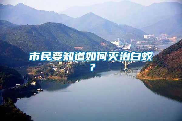 市民要知道如何滅治白蟻？