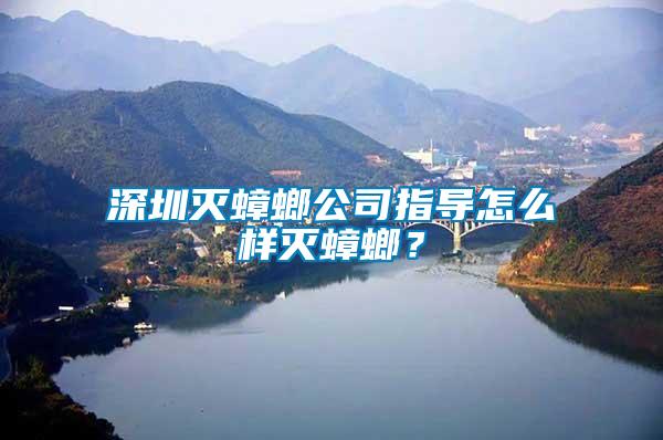 深圳滅蟑螂公司指導(dǎo)怎么樣滅蟑螂？