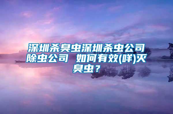 深圳殺臭蟲深圳殺蟲公司除蟲公司 如何有效(咩)滅臭蟲？