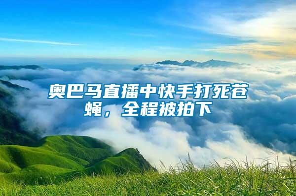 奧巴馬直播中快手打死蒼蠅，全程被拍下