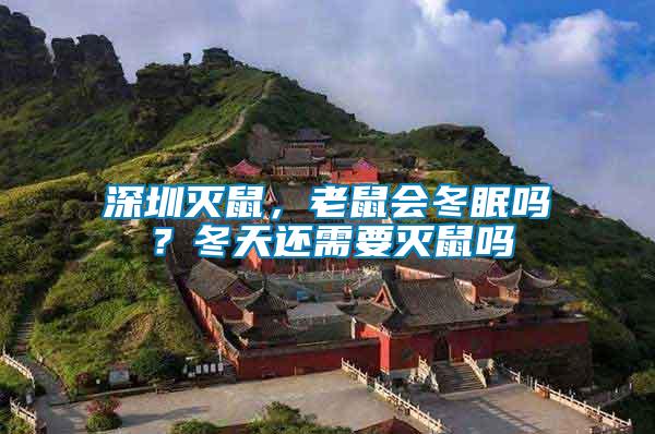 深圳滅鼠，老鼠會冬眠嗎？冬天還需要滅鼠嗎