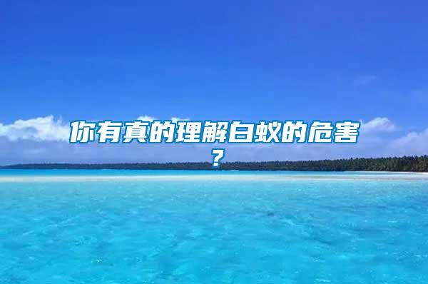你有真的理解白蟻的危害？