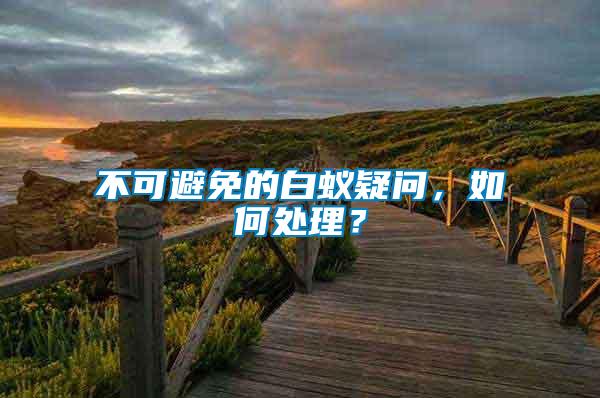 不可避免的白蟻疑問，如何處理？