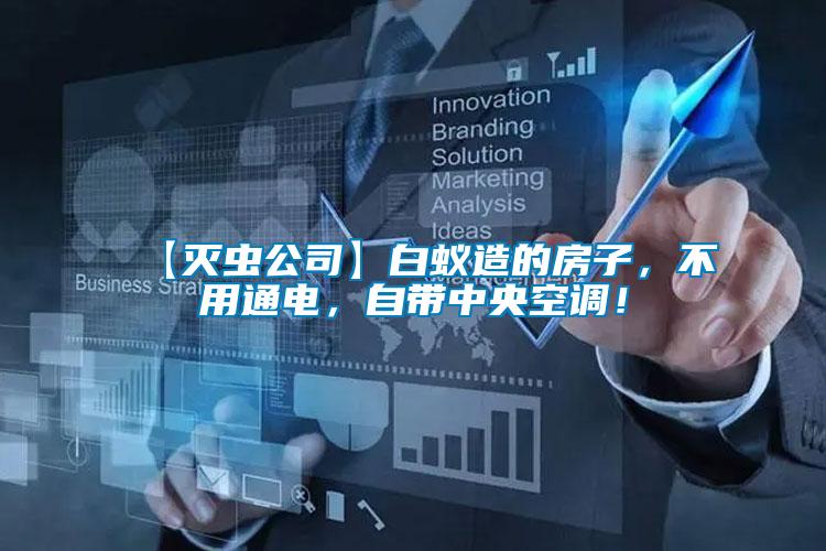 【滅蟲(chóng)公司】白蟻造的房子，不用通電，自帶中央空調(diào)！