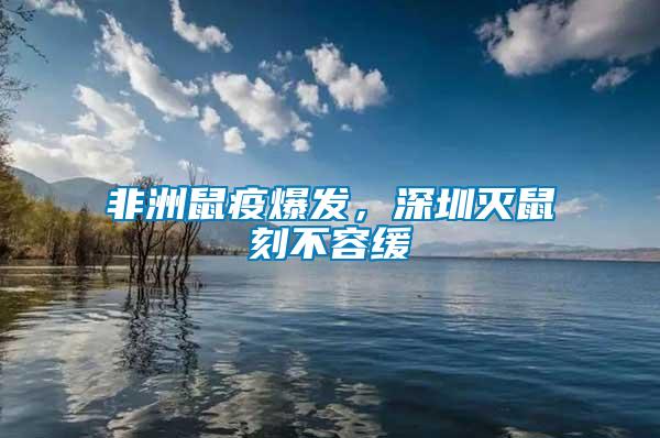 非洲鼠疫爆發(fā)，深圳滅鼠刻不容緩