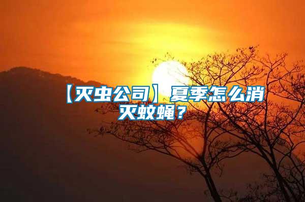 【滅蟲公司】夏季怎么消滅蚊蠅？