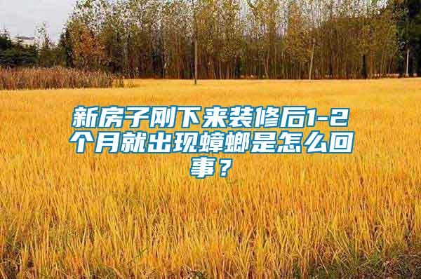 新房子剛下來(lái)裝修后1-2個(gè)月就出現(xiàn)蟑螂是怎么回事？
