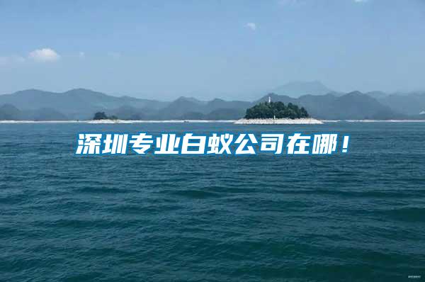 深圳專業白蟻公司在哪！