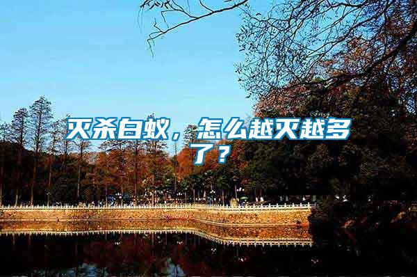 滅殺白蟻，怎么越滅越多了？