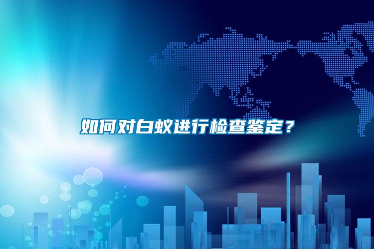 如何對白蟻進行檢查鑒定？
