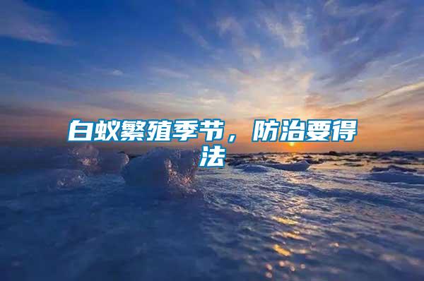 白蟻繁殖季節(jié)，防治要得法