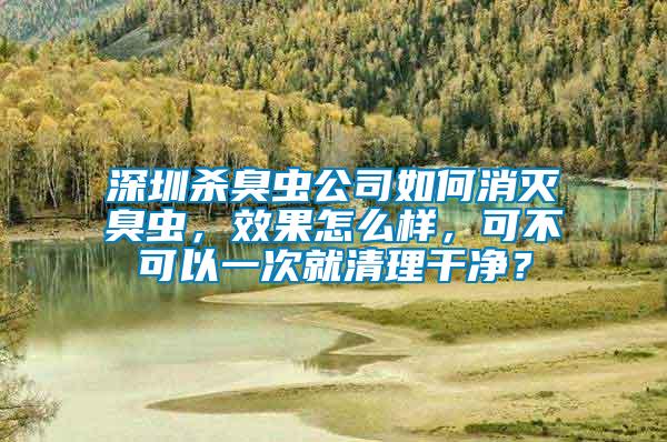 深圳殺臭蟲(chóng)公司如何消滅臭蟲(chóng)，效果怎么樣，可不可以一次就清理干凈？