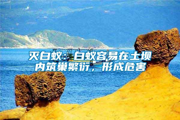 滅白蟻：白蟻容易在土壩內筑巢繁衍，形成危害