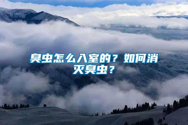 臭蟲怎么入室的？如何消滅臭蟲？