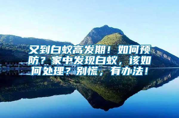 又到白蟻高發期！如何預防？家中發現白蟻，該如何處理？別慌，有辦法！