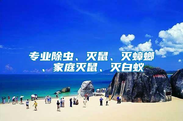 專業(yè)除蟲、滅鼠、滅蟑螂、家庭滅鼠、滅白蟻