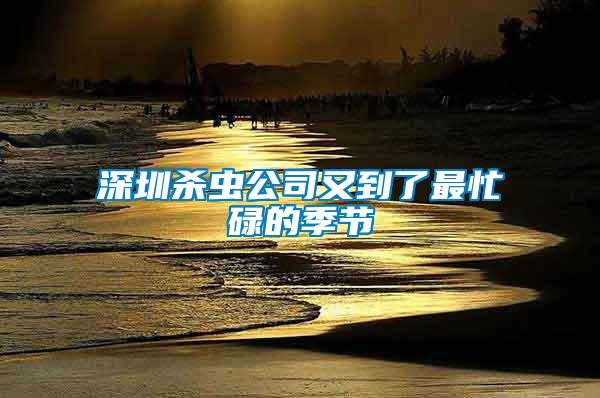 深圳殺蟲公司又到了最忙碌的季節