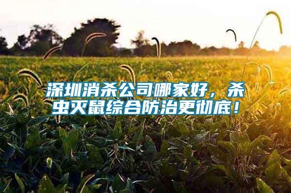 深圳消殺公司哪家好，殺蟲滅鼠綜合防治更徹底！