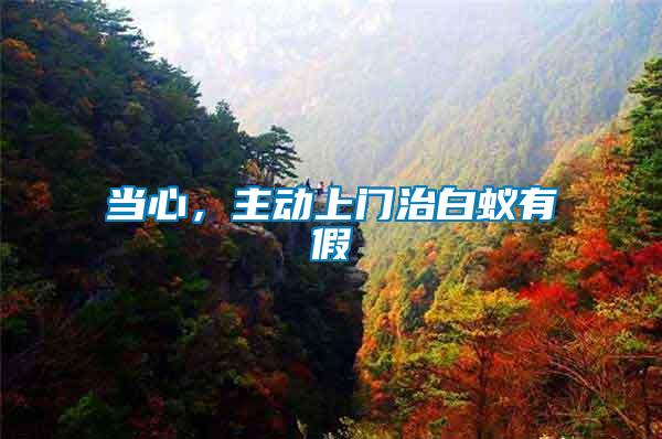 當(dāng)心，主動(dòng)上門(mén)治白蟻有假