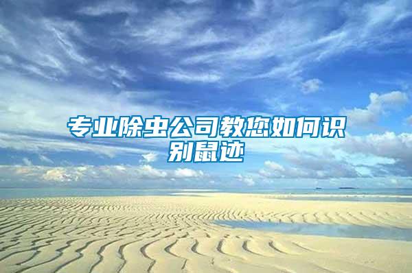 專業除蟲公司教您如何識別鼠跡