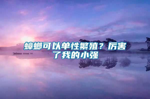 蟑螂可以單性繁殖？厲害了我的小強