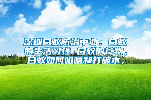 深圳白蟻防治中心：白蟻的生活習性 白蟻的食物，白蟻如何咀嚼和打破木，