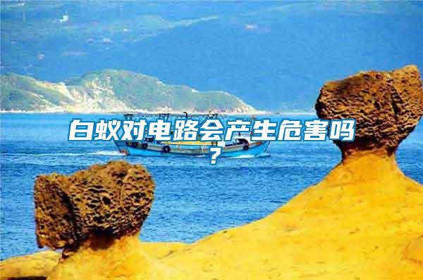 白蟻對電路會產生危害嗎？