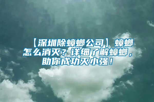 【深圳除蟑螂公司】蟑螂怎么消滅？詳細了解蟑螂，助你成功滅小強！