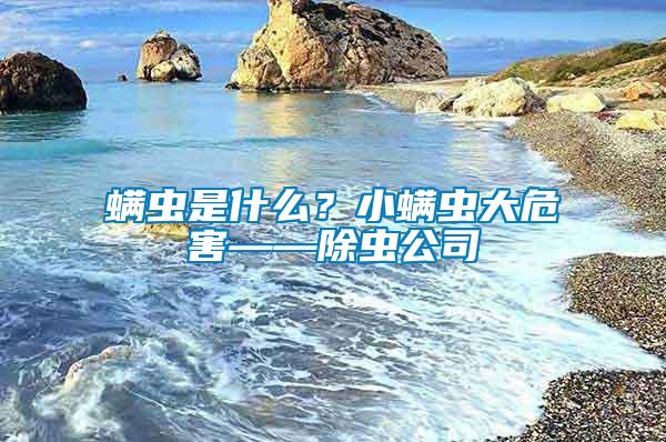 螨蟲是什么？小螨蟲大危害——除蟲公司