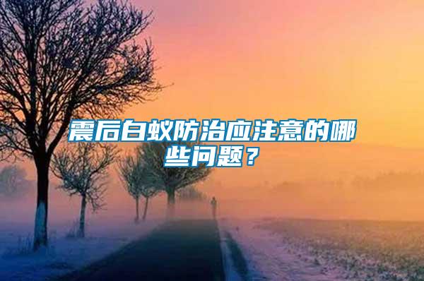 震后白蟻防治應注意的哪些問題？