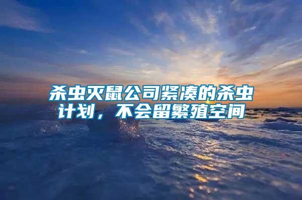 殺蟲滅鼠公司緊湊的殺蟲計劃，不會留繁殖空間