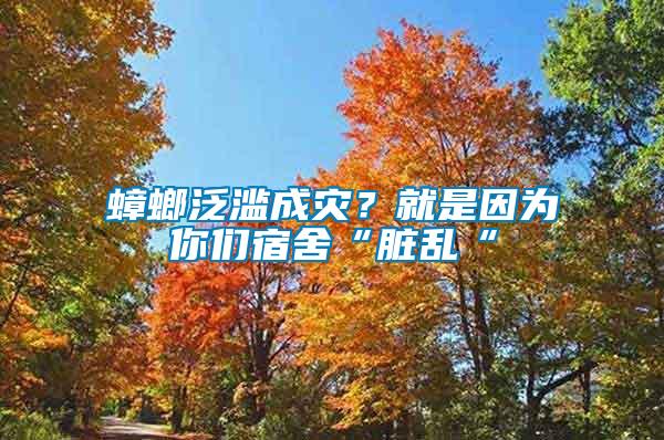 蟑螂泛濫成災？就是因為你們宿舍“臟亂“