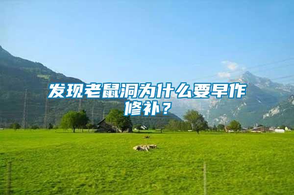 發現老鼠洞為什么要早作修補？
