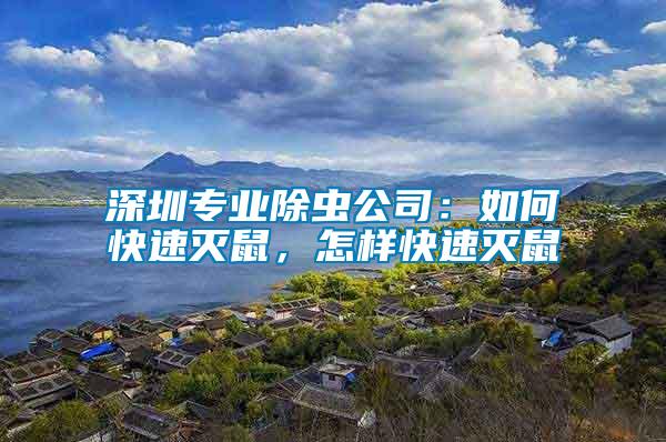 深圳專業(yè)除蟲(chóng)公司：如何快速滅鼠，怎樣快速滅鼠