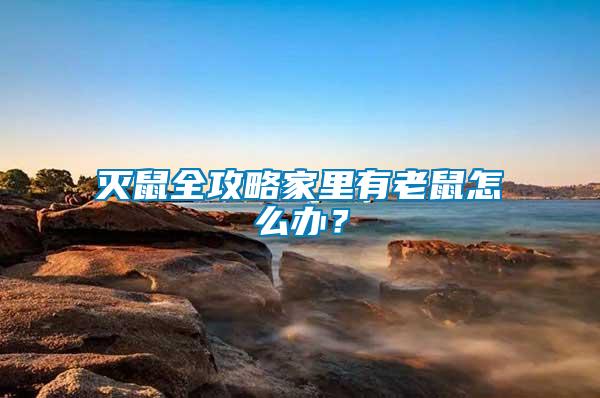 滅鼠全攻略家里有老鼠怎么辦？