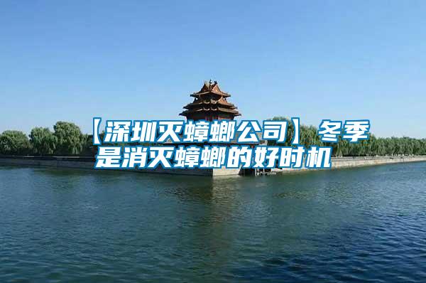 【深圳滅蟑螂公司】冬季是消滅蟑螂的好時機(jī)