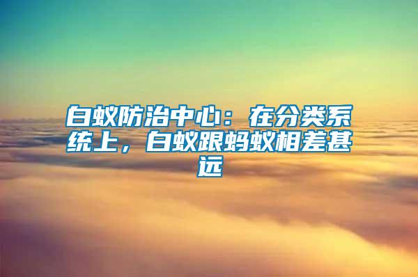 白蟻防治中心：在分類系統上，白蟻跟螞蟻相差甚遠