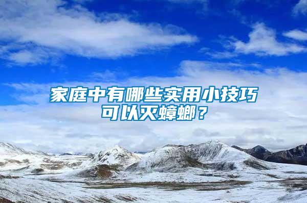 家庭中有哪些實(shí)用小技巧可以滅蟑螂？