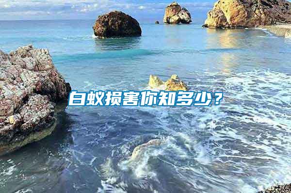 白蟻損害你知多少？