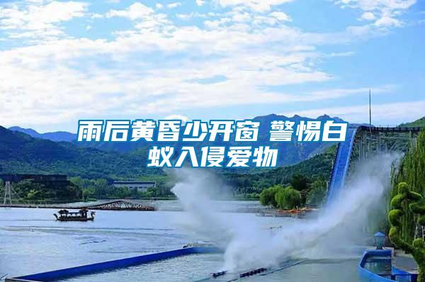 雨后黃昏少開(kāi)窗　警惕白蟻入侵愛(ài)物