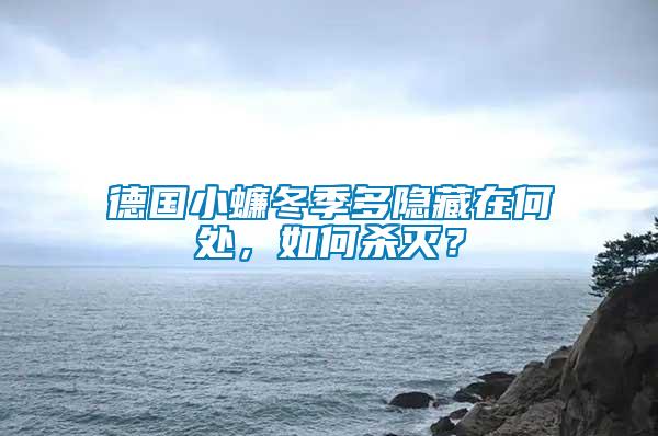 德國小蠊冬季多隱藏在何處，如何殺滅？
