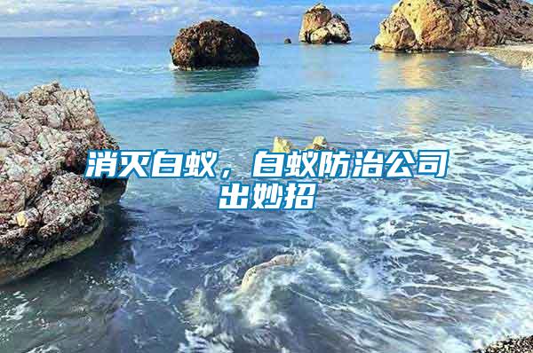 消滅白蟻，白蟻防治公司出妙招