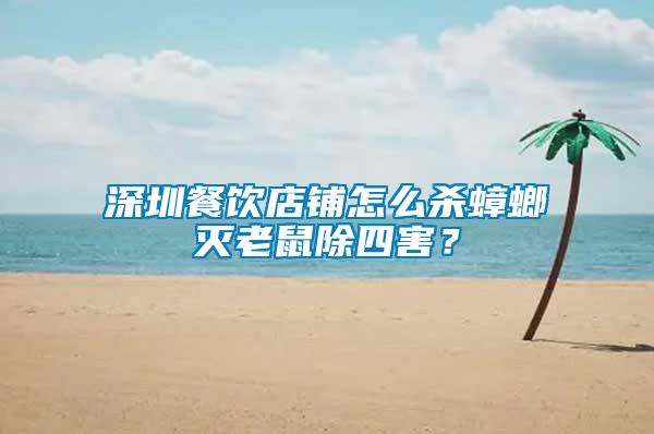 深圳餐飲店鋪怎么殺蟑螂滅老鼠除四害？