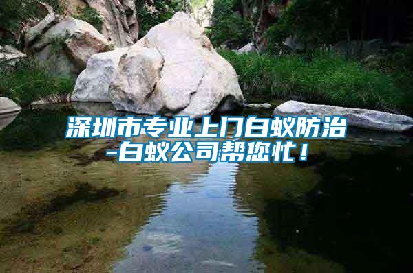 深圳市專業(yè)上門白蟻防治-白蟻公司幫您忙！