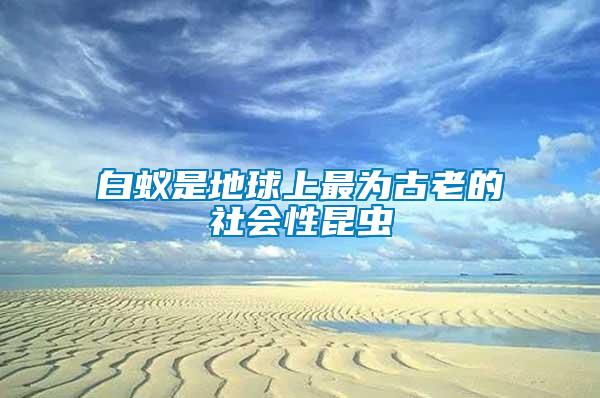 白蟻是地球上最為古老的社會(huì)性昆蟲(chóng)