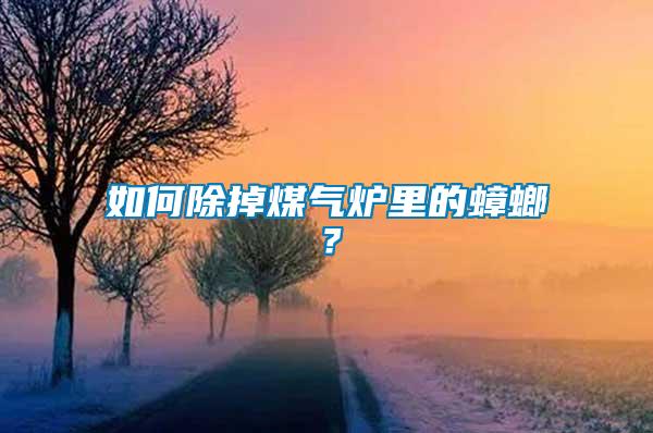 如何除掉煤氣爐里的蟑螂？