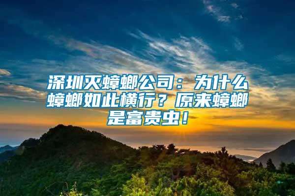 深圳滅蟑螂公司：為什么蟑螂如此橫行？原來蟑螂是富貴蟲！