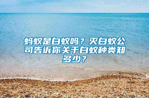 螞蟻是白蟻嗎？滅白蟻公司告訴你關于白蟻種類知多少？