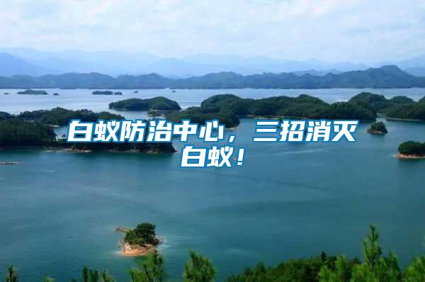 白蟻防治中心，三招消滅白蟻！