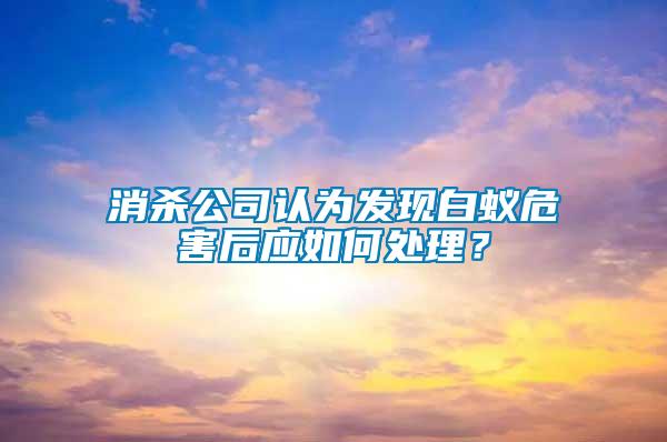 消殺公司認為發現白蟻危害后應如何處理？